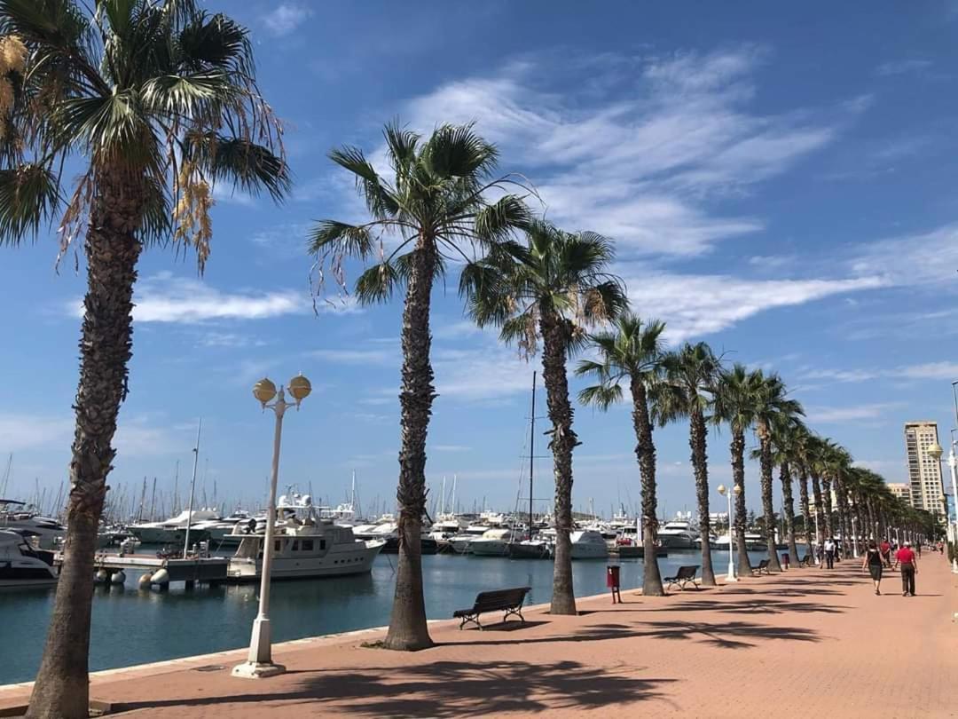 Estudio De Lujo Casaturis En El Corazon De Alicante A114 Ngoại thất bức ảnh